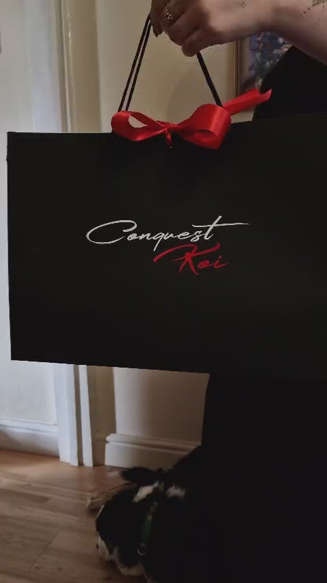 Large Black Gift Bag