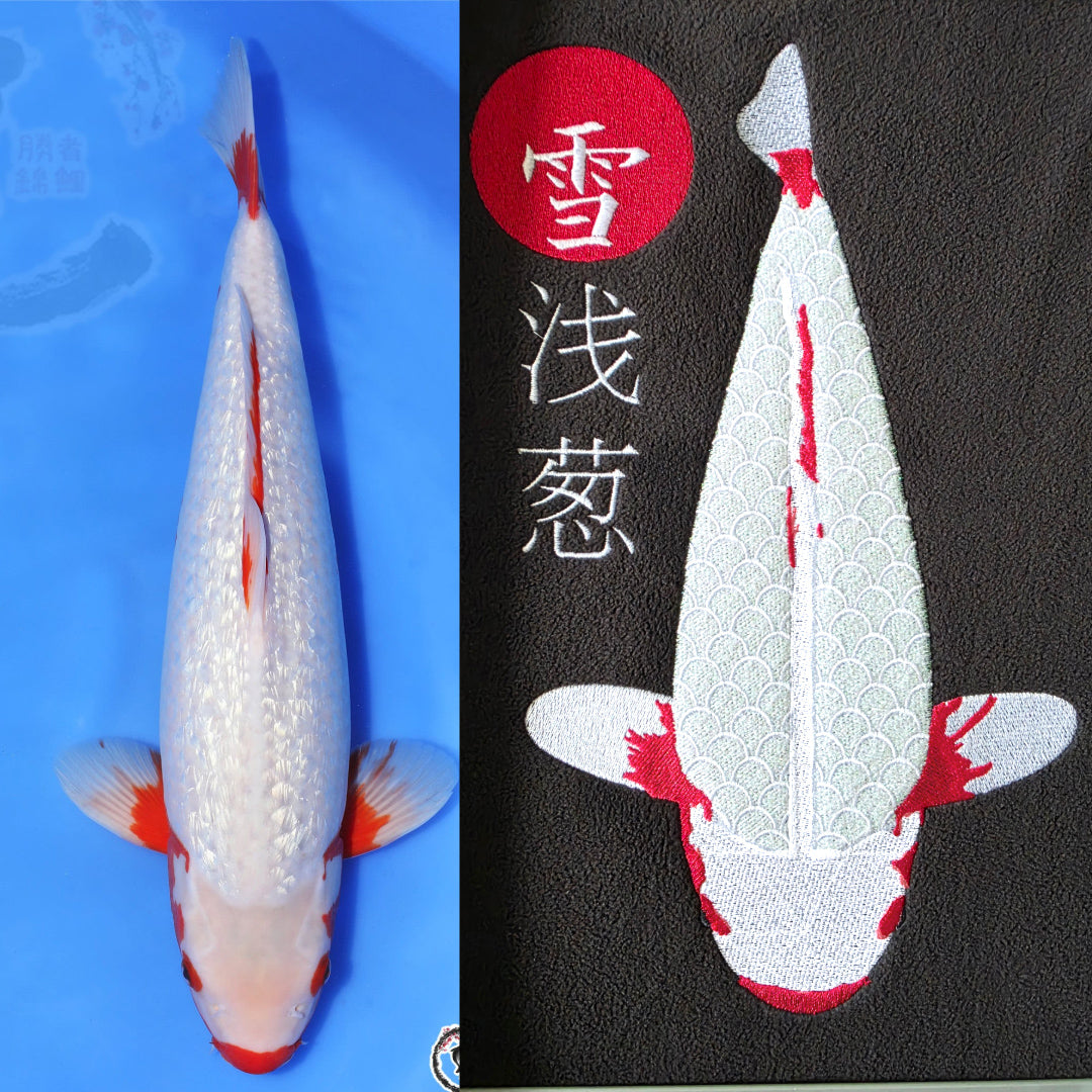 Nishikigoi Hi Utsuri Pullover